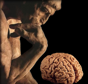The Thinker &mdash; Brain, Mind and Consciousness